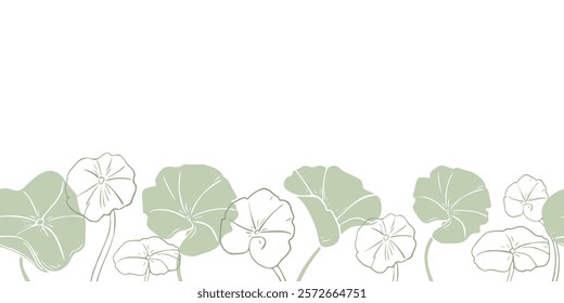 Centella asiatica in soft green tones on botanical vector seamless border. Pennywort silhouette, gotu kola rounded leaves on repeated banner hand drawn monochrome outline for label skincare, wellness.