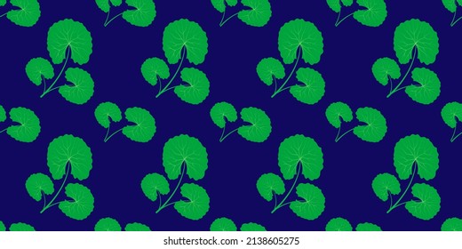Ilustración vector Centella asiatica. Patrón ininterrumpido de Gotu kola. la hoja verde repetida textura para cosméticos orgánicos, productos naturales, alimentos, diseño de medicina. Las hojas de la planta asiática en el fondo oscuro