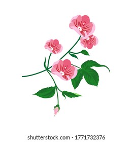 Centifolia roses Rose garden Design flowers Cut Pink Flowers, hand-painted watercolor flowers, pink rose illustrations, watercolor paintings, watercolors Leaves. Illustration vector