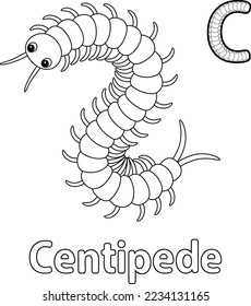 Centipede Animal Alphabet ABC Isolated Coloring C