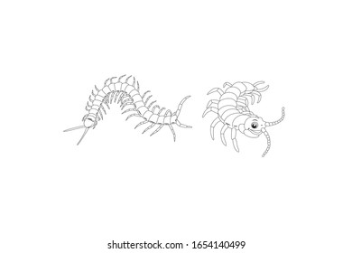 Centipede Animal Cartoon Vector Illustration