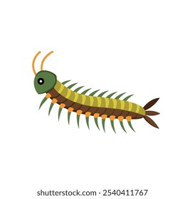 
Centipede animal isolated flat vector illustration on white background.