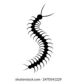 Centipede animal silhouette. Vector image