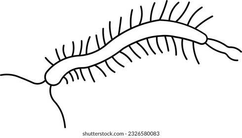 Centipede arthropod insect alien bug Outline