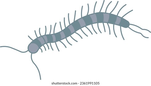 Centipede arthropod insect bug alien