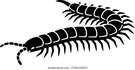 Centipede black silhouette vector illustration isolated on white, featuring a segmented body and multiple legs. Ideal for pest control branding, biology education, tattoo stencils, and nature-themed graphics.
