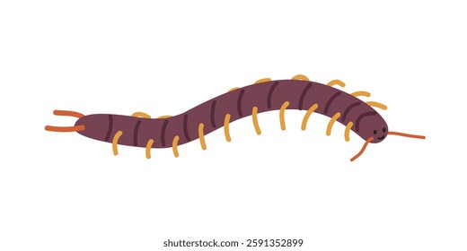 Centipede cartoon clipart. Cute centipede (Chilopoda) vector illustration. Animal in flat style. Insects and anthropods concept isolated on white background