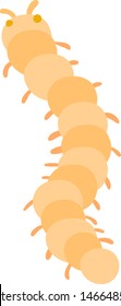 Centipede flat, illustration, vector on white background.