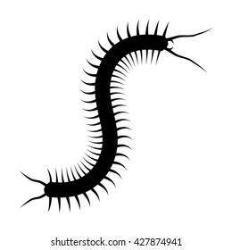 Centipede flat vector icon for nature apps and websites