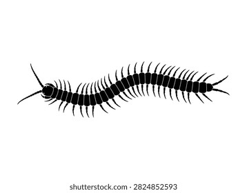 Centipede Icon – Insect Silhouette, Segmented Body and Legs Symbol