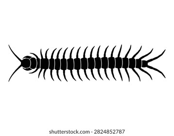 Centipede Icon – Insect Silhouette, Segmented Body and Legs