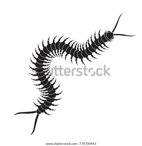 Centipede Icon Realistic Centipede Vector Stock Vector (Royalty Free ...