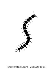 centipede icon,vector best flat icon.
