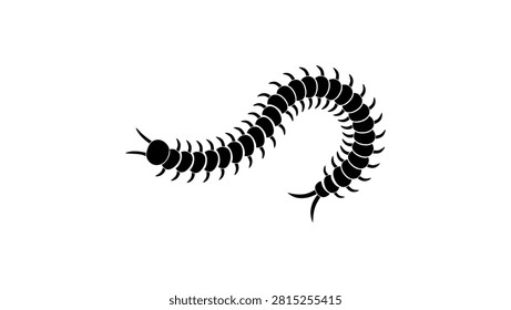 centipede insect, black isolated vector silhouette