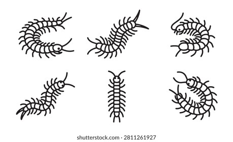 Centipede insect collection line art vector icons with centipede creature arthropod wildlife monochrome illustration collection background isolated segmented crawling entomology specimen