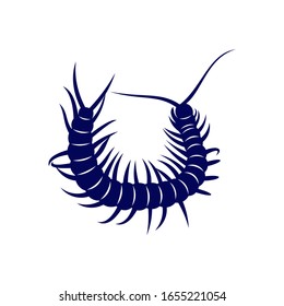 
Centipede logo vector design template, Silhouette Centipede logo animal, Illustration