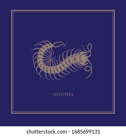 Centipede on a blue background in a realistic style. Drawn. Perfect for printing, interior, poster, brand, wall painting, printing on clothing, furniture items. Vector illustration.
