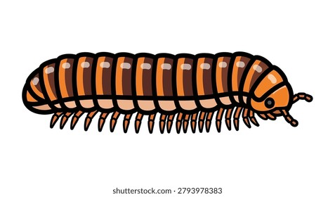 Centipede with orange and black body