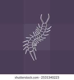 Centipede organism vector in white 