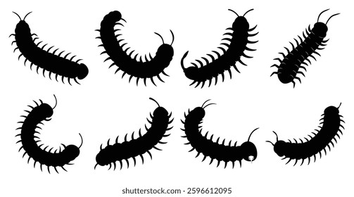 Centipede Silhouette Bundle for Wildlife and Insect Design