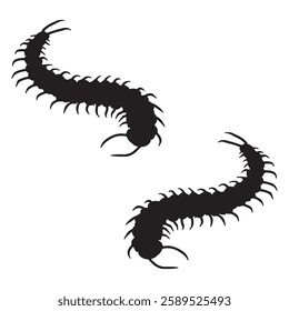 Centipede Silhouette, Centipede illustration, Centipede icon Silhouette, Centipede Silhouette illustration