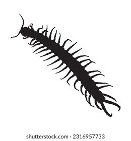 centipede silhouette set collection isolated black on white background vector illustration