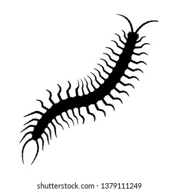 Centipede silhouette vector