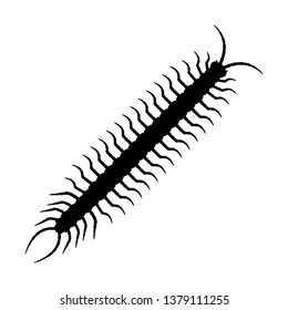 Centipede silhouette vector