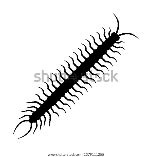 Centipede Silhouette Vector Stock Vector (Royalty Free) 1379111255 ...