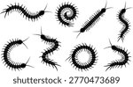 Centipede silhouettes, diverse crawling insect collection, scolopendra icons, exotic arthropod shapes, bug pest silhouettes, wildlife nature graphic design elements.