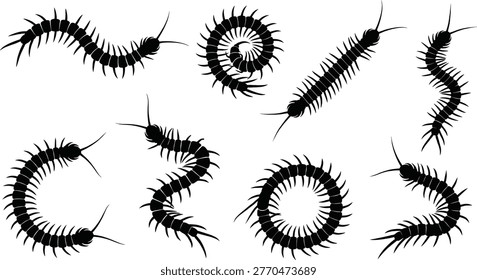 Centipede silhouettes, diverse crawling insect collection, scolopendra icons, exotic arthropod shapes, bug pest silhouettes, wildlife nature graphic design elements.