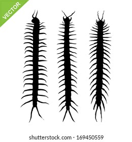 Centipede silhouettes vector