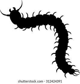 1,068 Centipede silhouette Images, Stock Photos & Vectors | Shutterstock