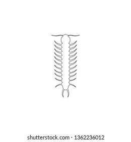 Centipede. simple flat vector icon illustration. outline line symbol - editable stroke