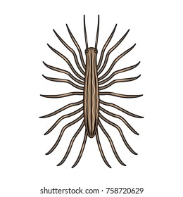 Centipede single icon in cartoon style for design.Pest Control Service vector symbol stock illustration web.