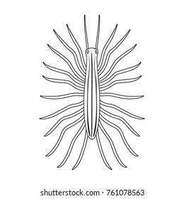 Centipede single icon in outline style for design.Pest Control Service vector symbol stock illustration web.