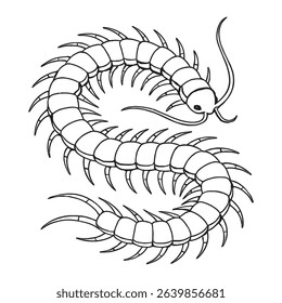 Centipede sketch 7 vector line art isolated on white background. Use for Icon, Decoration graphic, Coloring Book Animals or Sticker. Vector graphic.
