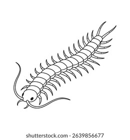 Centipede Sketch 8 vector line art isolated on white. use for Icon, Decoration graphic, Coloring Book Animals or Sticker. Vector graphic.