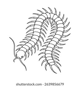 Centipede Sketch 9 vector line art isolated. use for Icon, Decoration design, Coloring Book Animals or Sticker. Vector graphic.