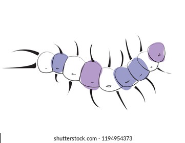 540 Centipede Sketch Images, Stock Photos & Vectors | Shutterstock