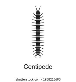 Centipede vector black icon. Vector illustration pest insect centipede on white background. Isolated black illustration icon of pest insect.