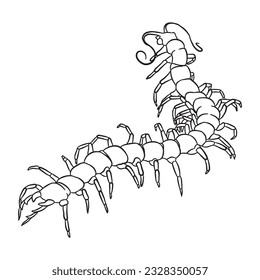 Centipede vector line art 3 in black isolated