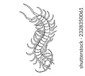 Centipede vector line art 5 isolated in white