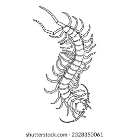 Centipede vector line art 5 isolated in white