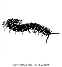 Centipede venomous arthropod. Centipede predatory creature. Centipede animal. Centipede symbol. Vector black silhouette design.