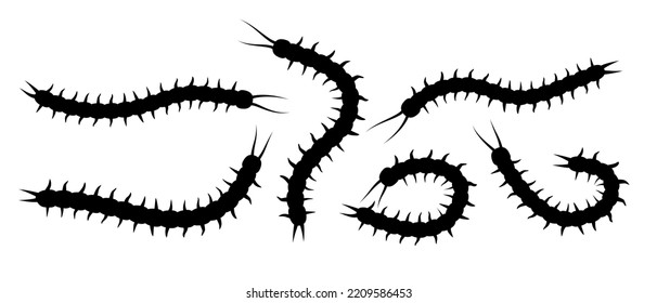Centipedes. Set of black silhouettes of centipedes. Vector clipart isolated on white background.