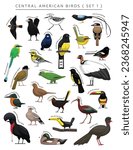 Central American Birds Set Cartoon Vector Character 1