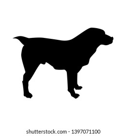 Central Asian Sheep Dog Silhouette. Smooth Vector Illustration.