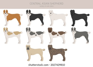 Zentrale asiatische Shepherd-Clipart-Kunst. Unterschiedliche Posen, Farben für die Fellfarbe.  Vektorgrafik