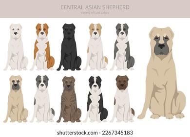 Central asian shepherd clipart. Different poses, coat colors set.  Vector illustration